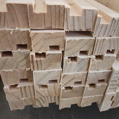 IMG20250527114824 IMG20250527114824